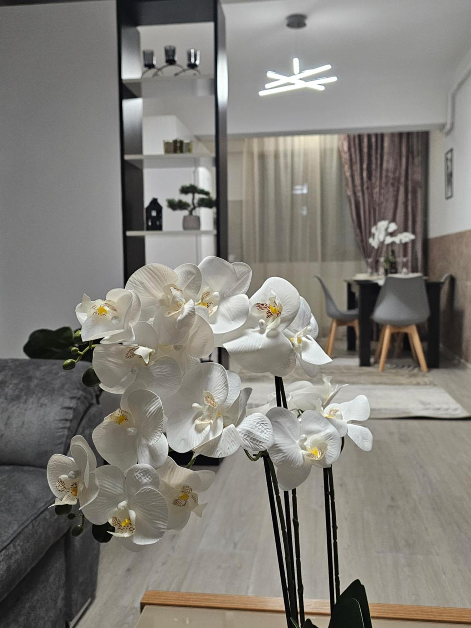 Enjoy My Home Near Palas Mall 2 Iasi Exterior photo